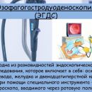 Слайд3.JPG
